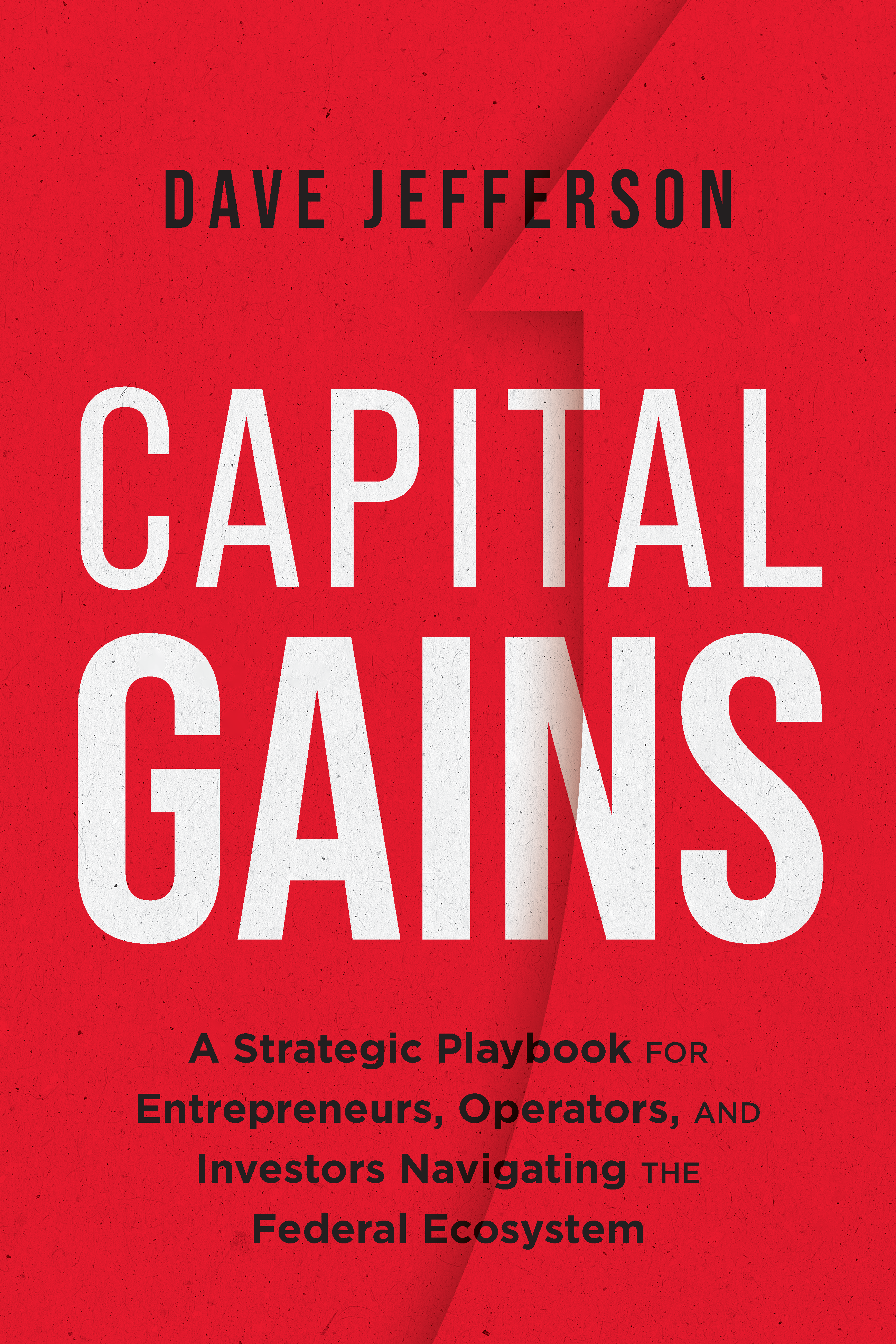 Capital Gains book cover